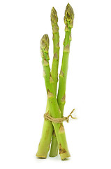 Image showing Delicious isolated asparagus