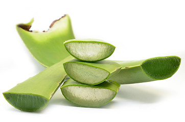 Image showing Aloe vera fresh leaf isolated