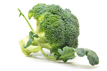 Image showing Fresh broccoli isolated on white background