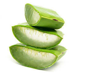 Image showing Aloe vera fresh leaf isolated