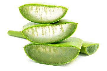 Image showing Aloe vera fresh leaf isolated