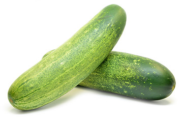 Image showing Fresh green cucumber