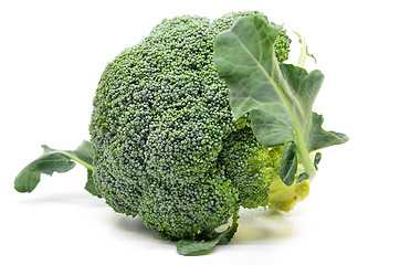 Image showing Fresh broccoli isolated on white background