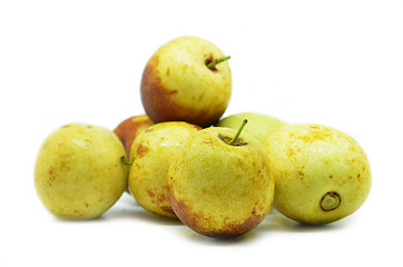 Image showing Ziziphus jujube Chinese date