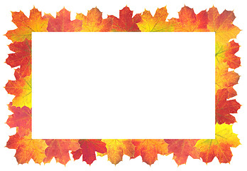 Image showing Autumn Leaves as frame on white background