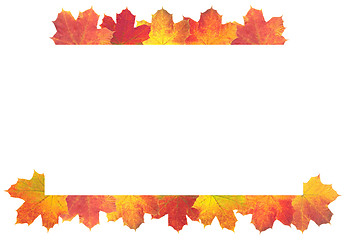 Image showing Autumn Leaves as frame on white background