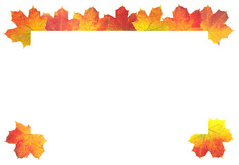 Image showing Autumn Leaves as frame on white background