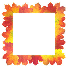 Image showing Autumn Leaves as frame on white background