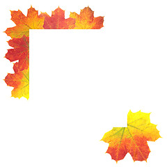 Image showing Autumn Leaves as frame on white background