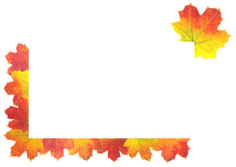 Image showing Autumn Leaves as frame on white background