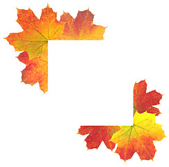 Image showing Autumn Leaves as frame on white background