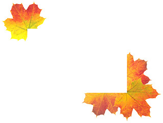 Image showing Autumn Leaves as frame on white background