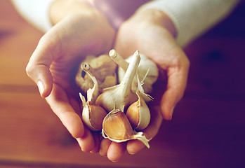 Image showing woman hands holding garlic