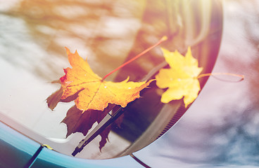Image showing close up of car wiper with autumn leaves