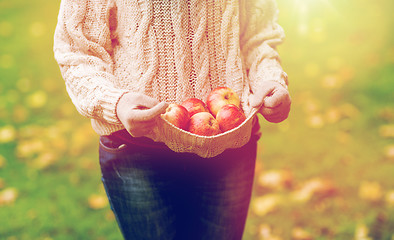 Image showing close up of woman with apples in autumn