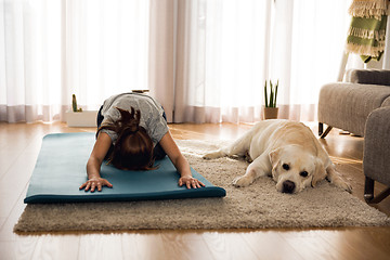 Image showing Doing exercise with my lazy dog