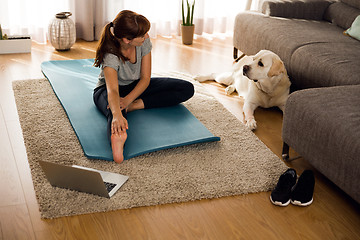 Image showing Doing exercise with my lazy dog