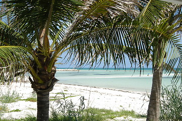 Image showing Freeport, Bahamas