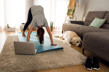 Image showing Doing exercise with my lazy dog