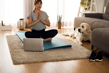 Image showing Doing exercise with my lazy dog