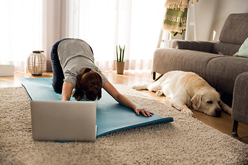 Image showing Doing exercise with my lazy dog