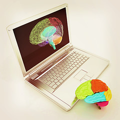 Image showing creative three-dimensional model of real human brain and scan on