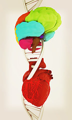 Image showing DNA, brain and heart. 3d illustration. Vintage style.