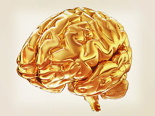 Image showing Gold brain. 3d render. Vintage style.