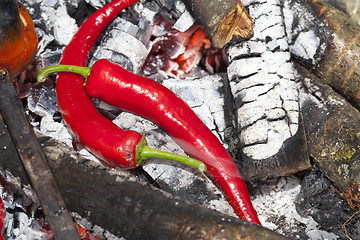 Image showing preparing on a fire hot pepper