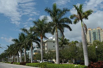 Image showing Miami Beach road
