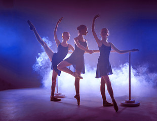 Image showing The young ballerinas stretching on the bar