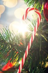 Image showing close up of sugar cane candy on christmas tree