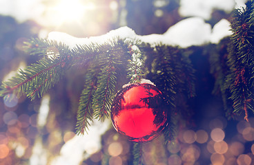 Image showing red christmas ball on fir tree branch with snow