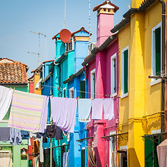 Image showing Colored houses in Venice - Italy