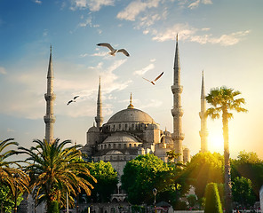 Image showing Blue Mosque at summer evening