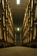 Image showing Bourgogne wine cellar