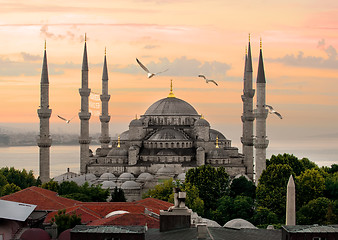 Image showing Blue Mosque and Bosphorus