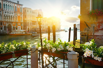 Image showing Flowers near Grand Canal, Venice