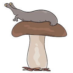 Image showing mushroom with slug on cap