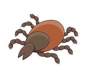 Image showing dangerous parasite - tick