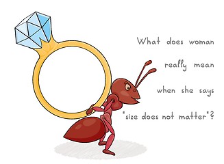 Image showing ant with big ring