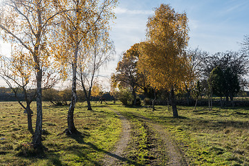 Image showing Sparkling fall season landscape