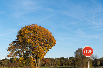 Image showing Stop traffic sign in a colored landscape