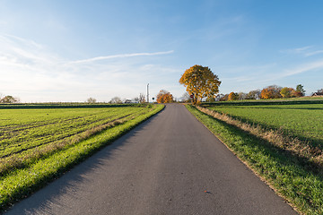 Image showing Colotful fall season colored landscape