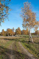 Image showing Dirt road into a fall colored landscape