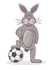 Image showing rabbit and ball