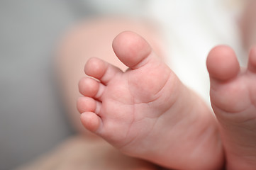 Image showing Mothers hands holding newborn baby feet