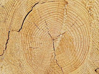 Image showing log background