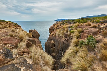 Image showing Landscape in Tasmania