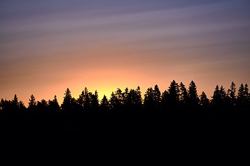 Image showing Sunset over trees